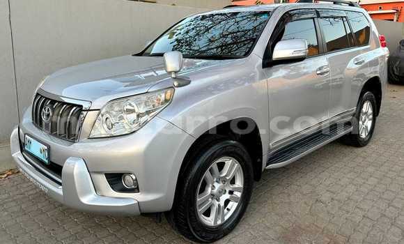 Buy Used Toyota Prado Other Car in Maputo in Maputo