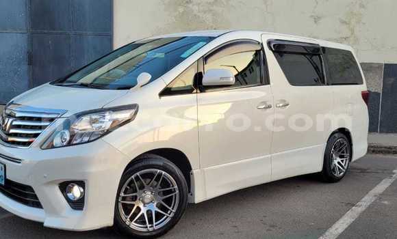 Comprar Usado Toyota Alphard Branco Carro em Maputo em Maputo
