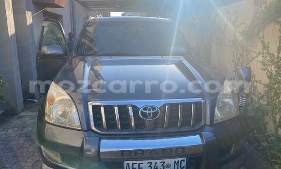 Nunua Ilio tumika Toyota Land Cruiser Prado Nyingine Gari ndani ya Maputo nchini Maputo Nunua Ilio tumika Toyota Land Cruiser Prado Nyingine Gari ndani ya Maputo nchini Maputo