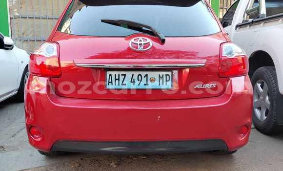 Buy Used Toyota Auris Red Car in Maputo in Maputo Buy Used Toyota Auris Red Car in Maputo in Maputo