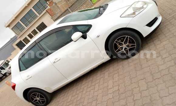 Tenga Tsaru Toyota Auris Chena Mota in Maputo in Maputo Tenga Tsaru Toyota Auris Chena Mota in Maputo in Maputo