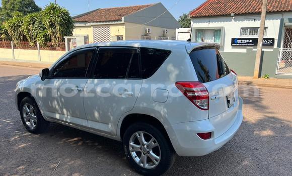 Comprar Usado Toyota RAV4 Branco Carro em Maputo em Maputo Comprar Usado Toyota RAV4 Branco Carro em Maputo em Maputo