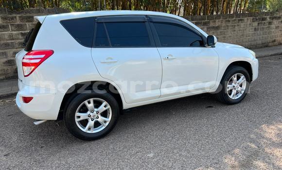 Comprar Usado Toyota RAV4 Branco Carro em Maputo em Maputo Comprar Usado Toyota RAV4 Branco Carro em Maputo em Maputo