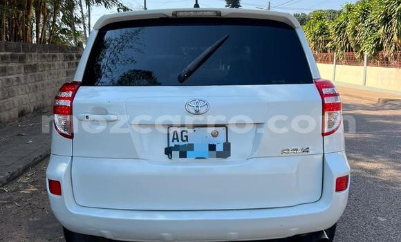 Comprar Usado Toyota RAV4 Branco Carro em Maputo em Maputo Comprar Usado Toyota RAV4 Branco Carro em Maputo em Maputo