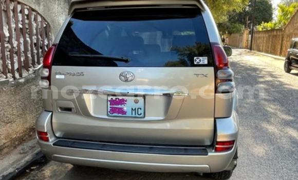 Nunua Ilio tumika Toyota Prado Nyingine Gari ndani ya Maputo nchini Maputo Nunua Ilio tumika Toyota Prado Nyingine Gari ndani ya Maputo nchini Maputo