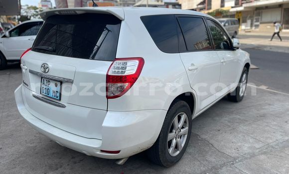 Buy Used Toyota Vanguard White Car in Maputo in Maputo Buy Used Toyota Vanguard White Car in Maputo in Maputo