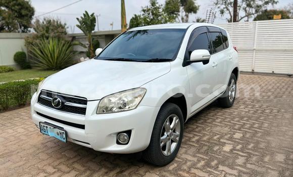 Tenga Tsaru Toyota RAV4 Chena Mota in Maputo in Maputo Tenga Tsaru Toyota RAV4 Chena Mota in Maputo in Maputo