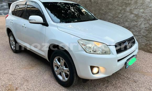 Comprar Usado Toyota RAV4 Branco Carro em Maputo em Maputo