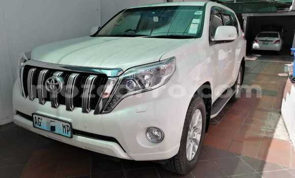 Comprar Usado Toyota Prado Branco Carro em Maputo em Maputo Comprar Usado Toyota Prado Branco Carro em Maputo em Maputo