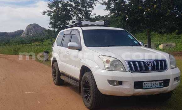 Tenga Tsaru Toyota Land Cruiser Prado Chena Mota in Maputo in Maputo Tenga Tsaru Toyota Land Cruiser Prado Chena Mota in Maputo in Maputo
