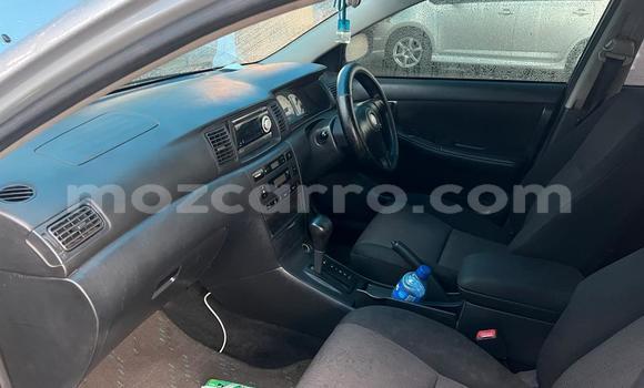 Comprar Usado Toyota Runx De outros Carro em Maputo em Maputo Comprar Usado Toyota Runx De outros Carro em Maputo em Maputo