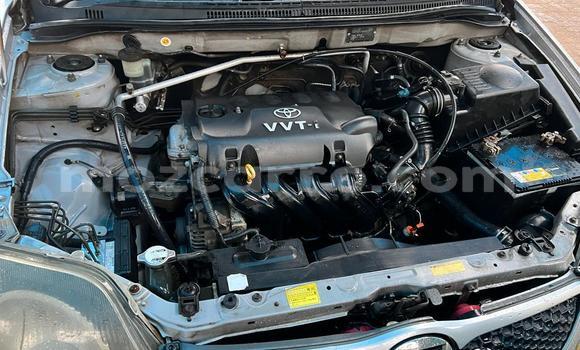 Comprar Usado Toyota Runx De outros Carro em Maputo em Maputo Comprar Usado Toyota Runx De outros Carro em Maputo em Maputo