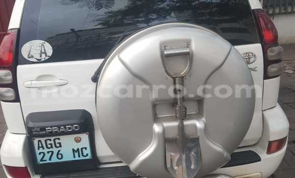 Comprar Usado Toyota Prado Branco Carro em Maputo em Maputo Comprar Usado Toyota Prado Branco Carro em Maputo em Maputo