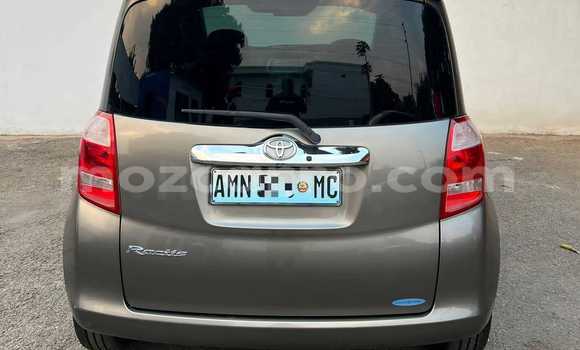 Comprar Usado Toyota Ractis Castanho Carro em Maputo em Maputo Comprar Usado Toyota Ractis Castanho Carro em Maputo em Maputo