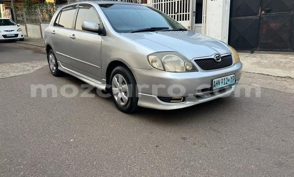 Nunua Ilio tumika Toyota Runx Fedha Gari ndani ya Maputo nchini Maputo Nunua Ilio tumika Toyota Runx Fedha Gari ndani ya Maputo nchini Maputo