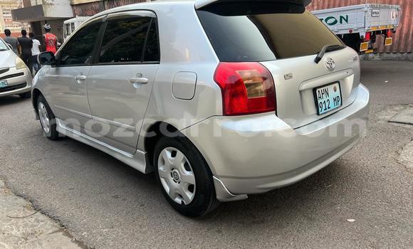 Nunua Ilio tumika Toyota Runx Fedha Gari ndani ya Maputo nchini Maputo Nunua Ilio tumika Toyota Runx Fedha Gari ndani ya Maputo nchini Maputo