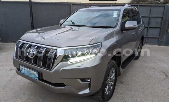 Buy Used Toyota Prado Other Car in Maputo in Maputo