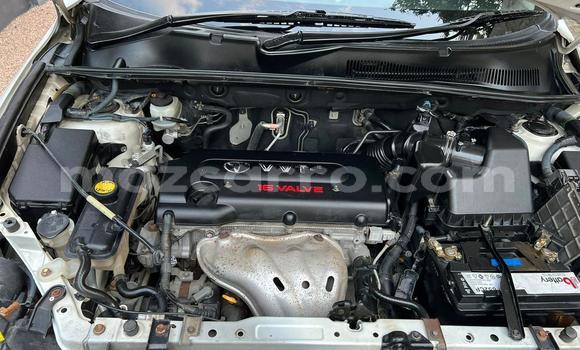 Comprar Usado Toyota RAV4 Branco Carro em Maputo em Maputo Comprar Usado Toyota RAV4 Branco Carro em Maputo em Maputo