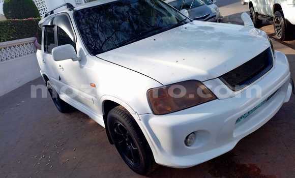 Buy Used Honda CR-V White Car in Maputo in Maputo Buy Used Honda CR-V White Car in Maputo in Maputo
