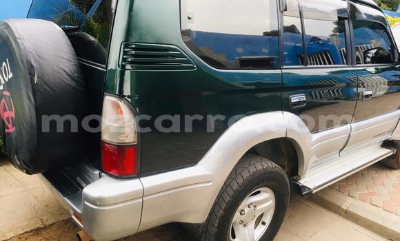 Tenga Tsaru Toyota Land Cruiser Prado Nhema Mota in Maputo in Maputo Tenga Tsaru Toyota Land Cruiser Prado Nhema Mota in Maputo in Maputo