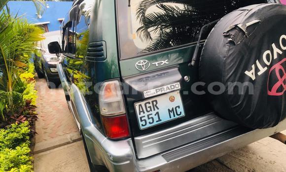 Tenga Tsaru Toyota Land Cruiser Prado Nhema Mota in Maputo in Maputo Tenga Tsaru Toyota Land Cruiser Prado Nhema Mota in Maputo in Maputo