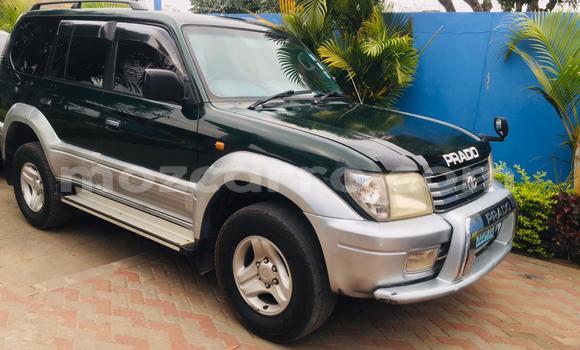 Tenga Tsaru Toyota Land Cruiser Prado Nhema Mota in Maputo in Maputo Tenga Tsaru Toyota Land Cruiser Prado Nhema Mota in Maputo in Maputo