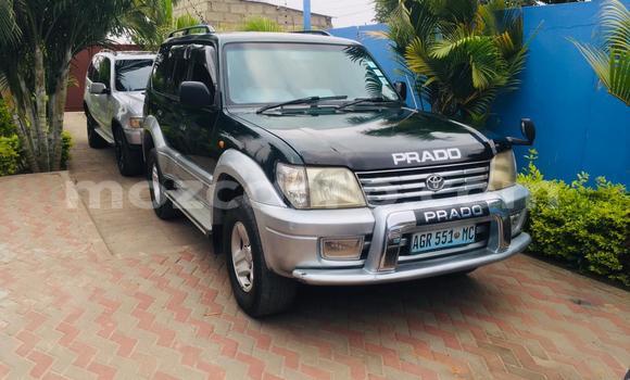 Tenga Tsaru Toyota Land Cruiser Prado Nhema Mota in Maputo in Maputo Tenga Tsaru Toyota Land Cruiser Prado Nhema Mota in Maputo in Maputo