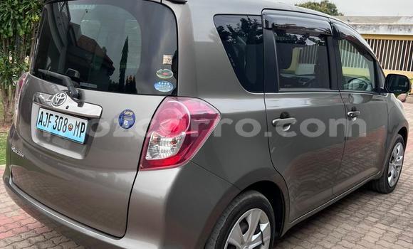 Nunua Ilio tumika Toyota Ractis Brown Gari ndani ya Maputo nchini Maputo Nunua Ilio tumika Toyota Ractis Brown Gari ndani ya Maputo nchini Maputo
