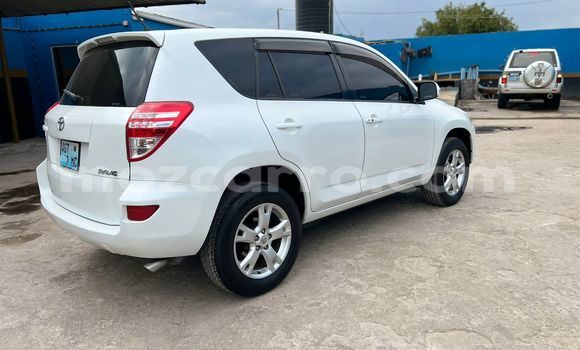 Buy Used Toyota RAV4 White Car in Maputo in Maputo Buy Used Toyota RAV4 White Car in Maputo in Maputo