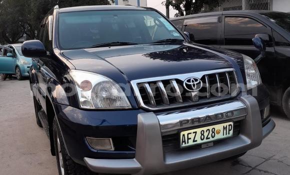 Nunua Ilio tumika Toyota Prado Bluu Gari ndani ya Maputo nchini Maputo Nunua Ilio tumika Toyota Prado Bluu Gari ndani ya Maputo nchini Maputo