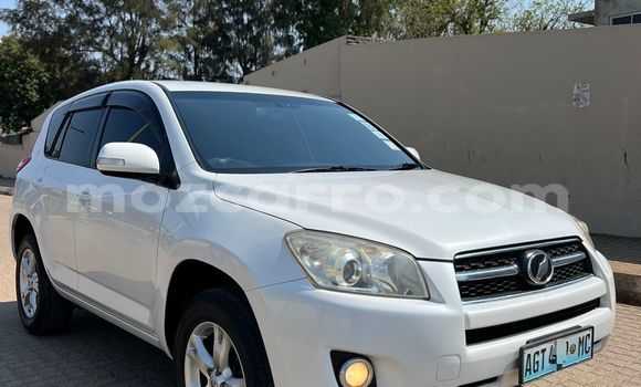 Tenga Tsaru Toyota RAV4 Chena Mota in Maputo in Maputo