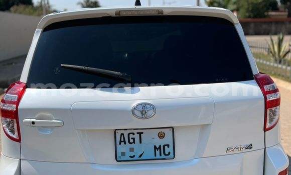 Tenga Tsaru Toyota RAV4 Chena Mota in Maputo in Maputo Tenga Tsaru Toyota RAV4 Chena Mota in Maputo in Maputo