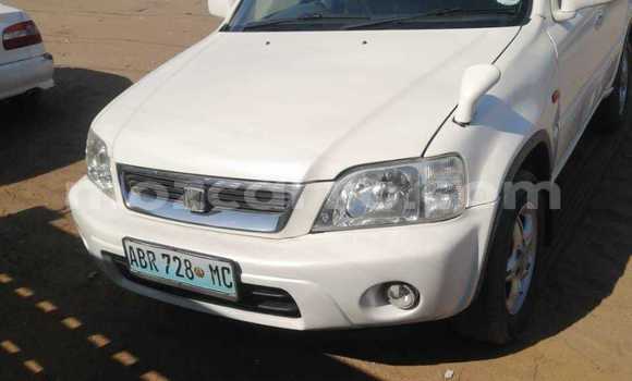 Nunua Ilio tumika Honda CR-V Nyeupe Gari ndani ya Maputo nchini Maputo Nunua Ilio tumika Honda CR-V Nyeupe Gari ndani ya Maputo nchini Maputo