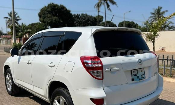 Buy Used Toyota RAV4 White Car in Maputo in Maputo Buy Used Toyota RAV4 White Car in Maputo in Maputo