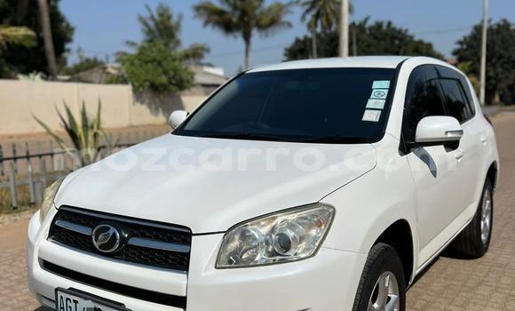 Buy Used Toyota RAV4 White Car in Maputo in Maputo Buy Used Toyota RAV4 White Car in Maputo in Maputo