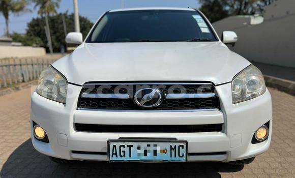 Buy Used Toyota RAV4 White Car in Maputo in Maputo Buy Used Toyota RAV4 White Car in Maputo in Maputo