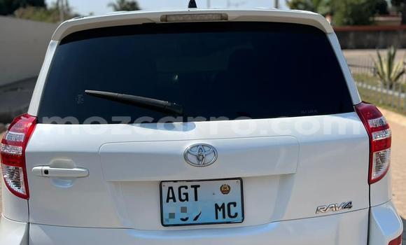 Buy Used Toyota RAV4 White Car in Maputo in Maputo Buy Used Toyota RAV4 White Car in Maputo in Maputo