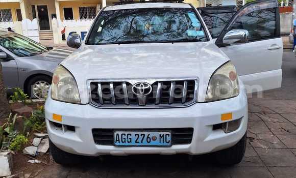 Nunua Ilio tumika Toyota Land Cruiser Prado Nyingine Gari ndani ya Maputo nchini Maputo Nunua Ilio tumika Toyota Land Cruiser Prado Nyingine Gari ndani ya Maputo nchini Maputo