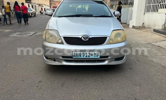 Buy Used Toyota Runx Other Car in Maputo in Maputo
