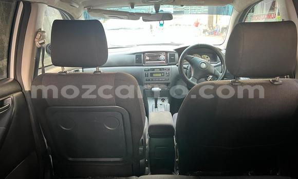 Tenga Tsaru Toyota Runx Zvimwe Mota in Maputo in Maputo Tenga Tsaru Toyota Runx Zvimwe Mota in Maputo in Maputo