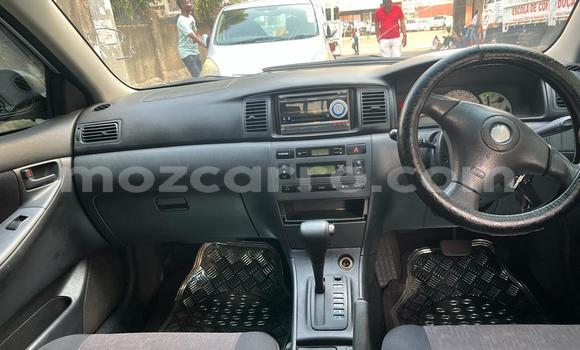 Tenga Tsaru Toyota Runx Zvimwe Mota in Maputo in Maputo Tenga Tsaru Toyota Runx Zvimwe Mota in Maputo in Maputo