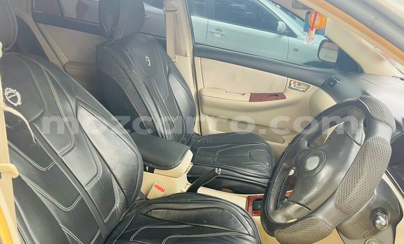 Tenga Tsaru Toyota Runx Zvimwe Mota in Maputo in Maputo Tenga Tsaru Toyota Runx Zvimwe Mota in Maputo in Maputo