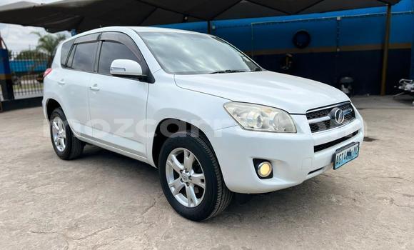 Tenga Tsaru Toyota RAV4 Chena Mota in Maputo in Maputo
