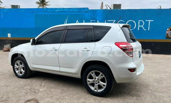 Buy Used Toyota RAV4 White Car in Maputo in Maputo Buy Used Toyota RAV4 White Car in Maputo in Maputo