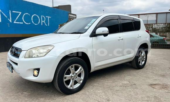 Buy Used Toyota RAV4 White Car in Maputo in Maputo Buy Used Toyota RAV4 White Car in Maputo in Maputo