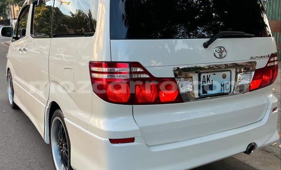 Tenga Tsaru Toyota Alphard Zvimwe Mota in Maputo in Maputo Tenga Tsaru Toyota Alphard Zvimwe Mota in Maputo in Maputo