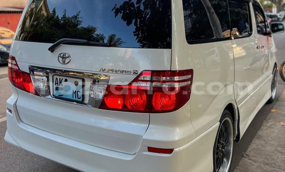Tenga Tsaru Toyota Alphard Zvimwe Mota in Maputo in Maputo Tenga Tsaru Toyota Alphard Zvimwe Mota in Maputo in Maputo