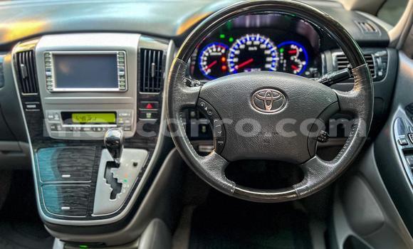 Tenga Tsaru Toyota Alphard Zvimwe Mota in Maputo in Maputo Tenga Tsaru Toyota Alphard Zvimwe Mota in Maputo in Maputo