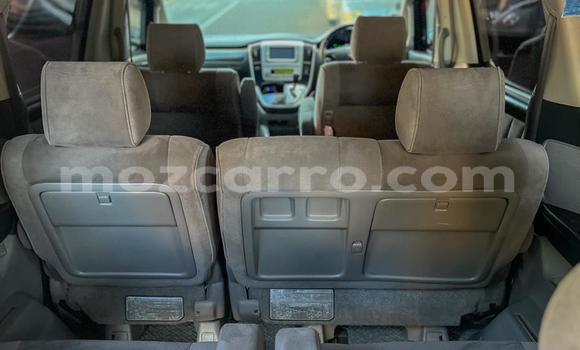 Tenga Tsaru Toyota Alphard Zvimwe Mota in Maputo in Maputo Tenga Tsaru Toyota Alphard Zvimwe Mota in Maputo in Maputo