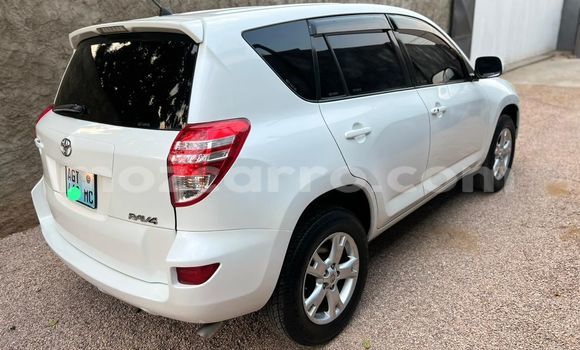 Buy Used Toyota RAV4 White Car in Maputo in Maputo Buy Used Toyota RAV4 White Car in Maputo in Maputo